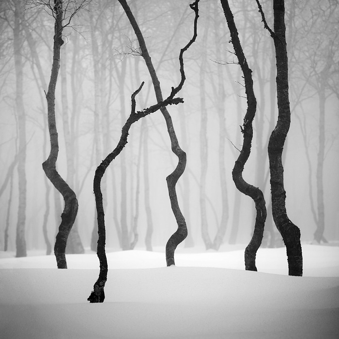 Archillect ID 88399