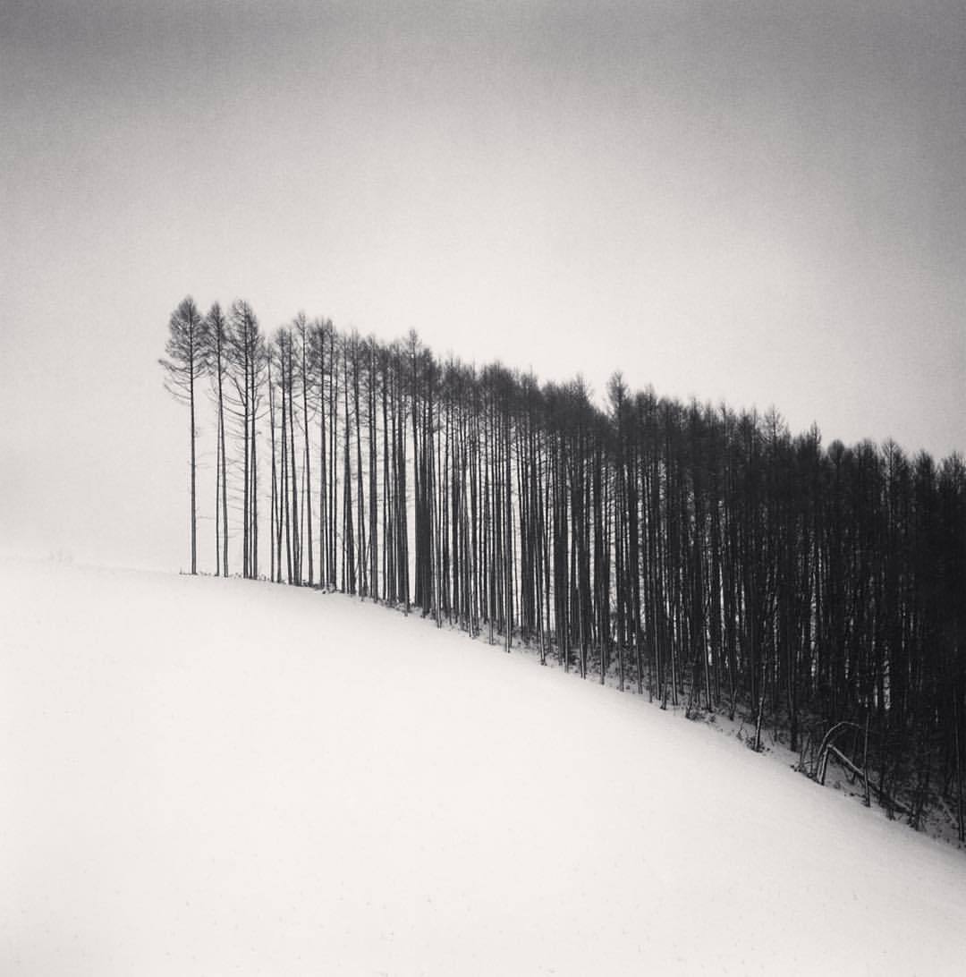 Archillect ID 88666