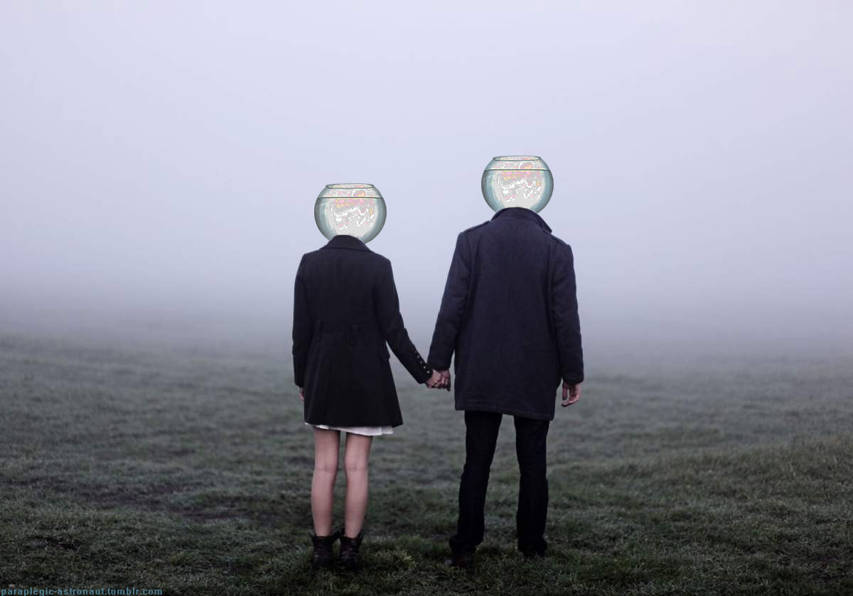 Archillect ID 88826