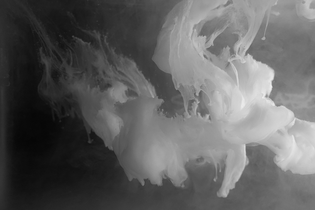Archillect ID 88833