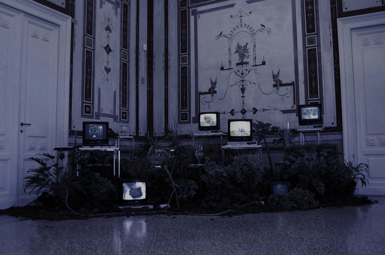 Archillect ID 88921