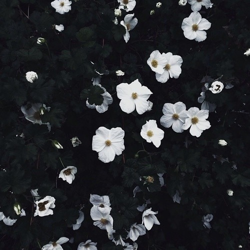 Archillect ID 89065