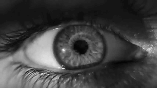 Archillect ID 89164
