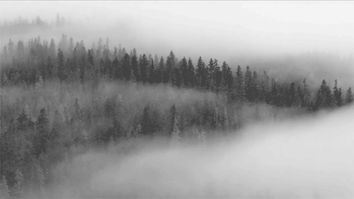 Archillect ID 89167