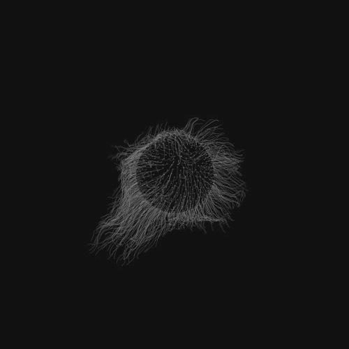 Archillect ID 89227