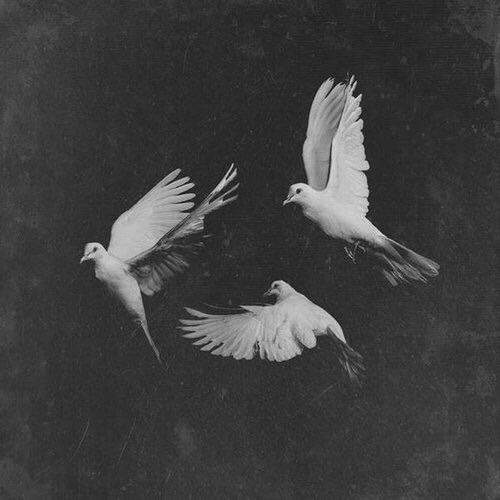 Archillect ID 89334