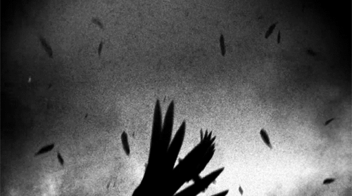 Archillect ID 89337