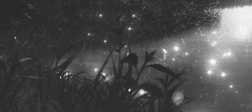 Archillect ID 89343