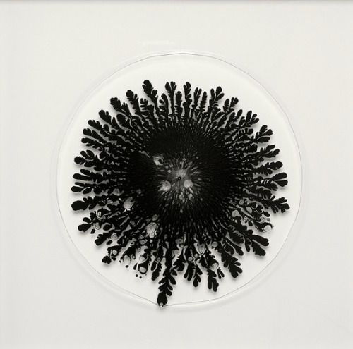 Archillect ID 89355