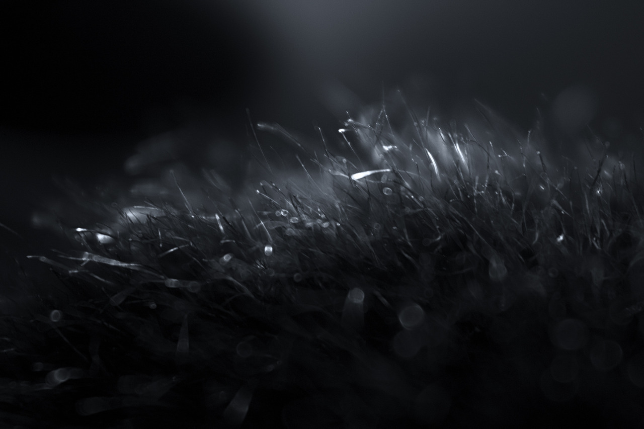 Archillect ID 89405