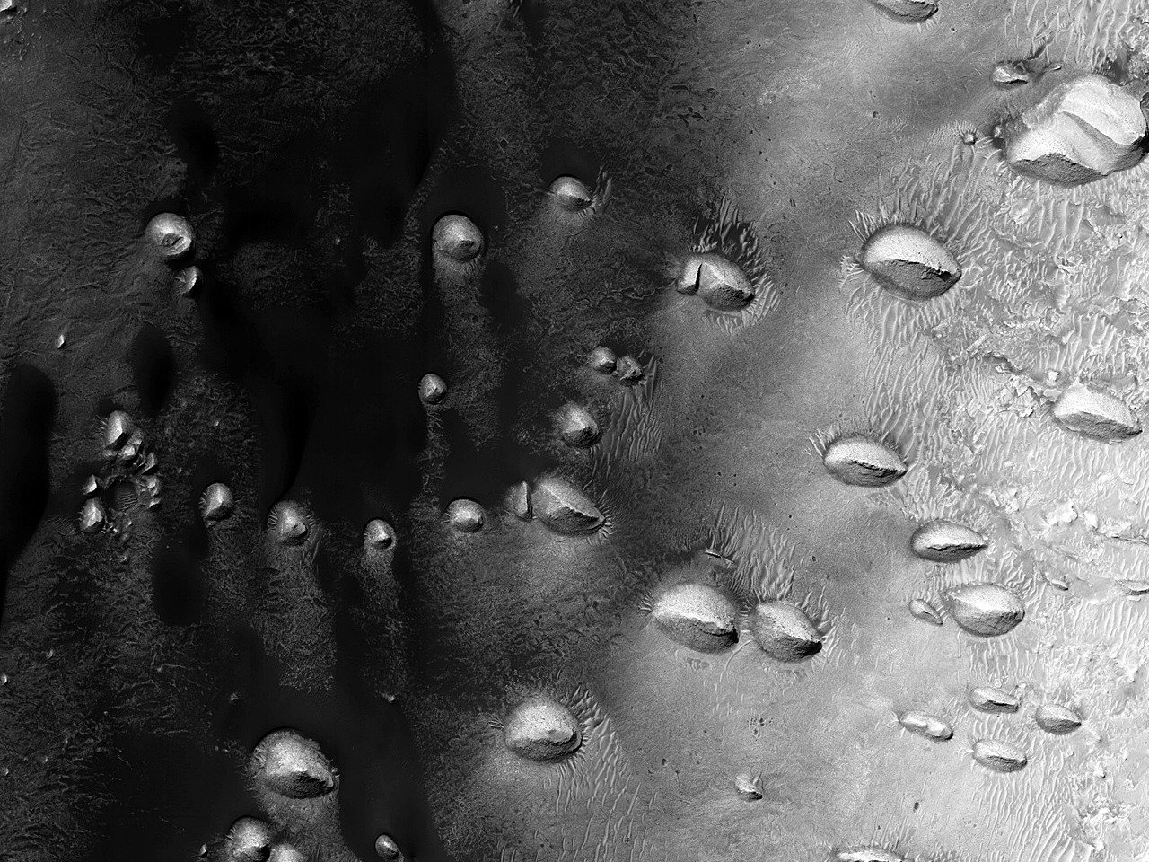 Archillect ID 89447