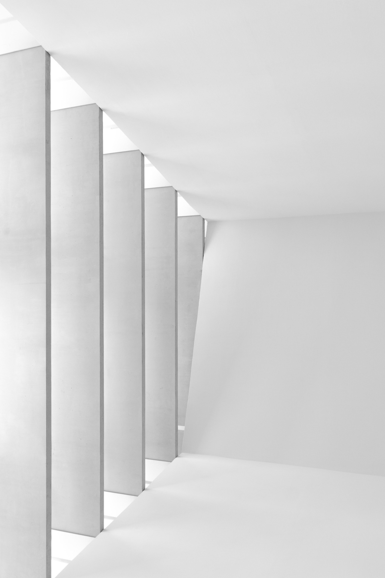 Archillect ID 89504