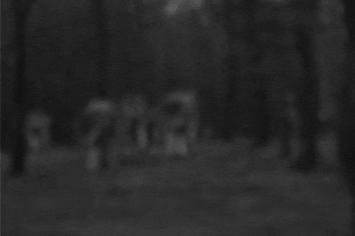 Archillect ID 89750