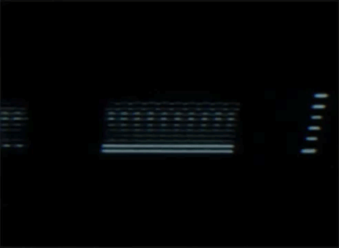 Archillect ID 89796