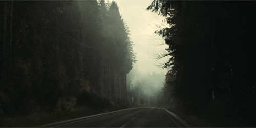 Archillect ID 89798