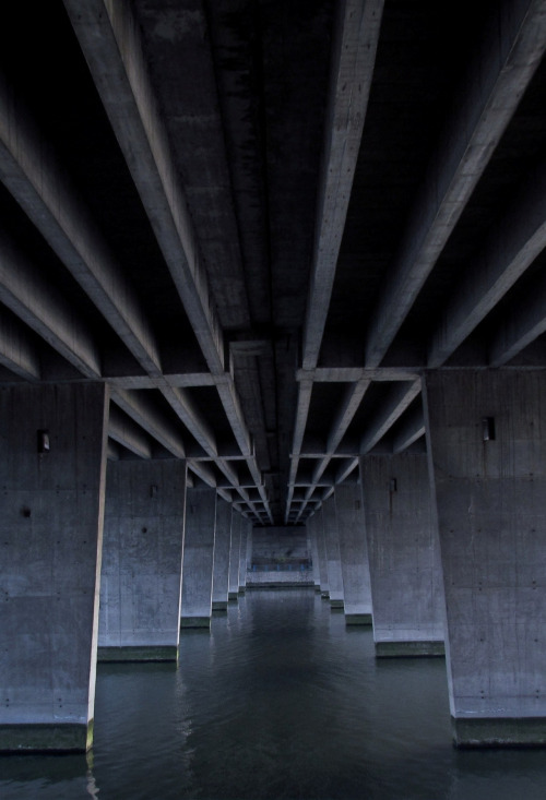 Archillect ID 89874