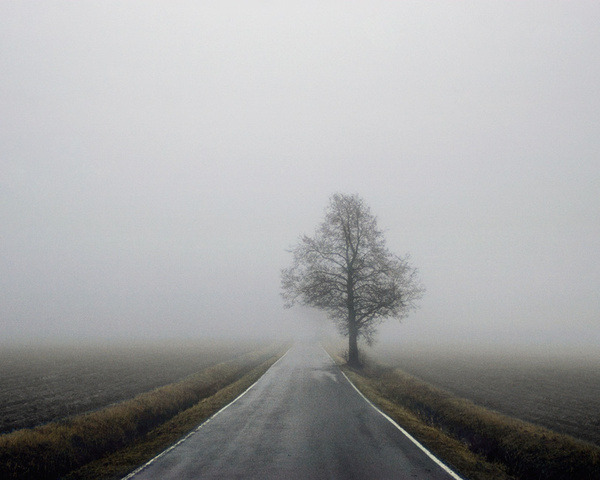 Archillect ID 89909