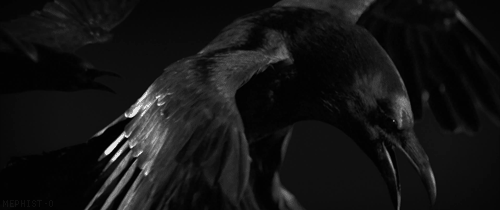Archillect ID 89980