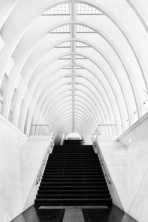 Archillect ID 89988