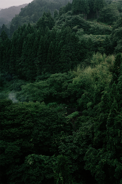 Archillect ID 90135