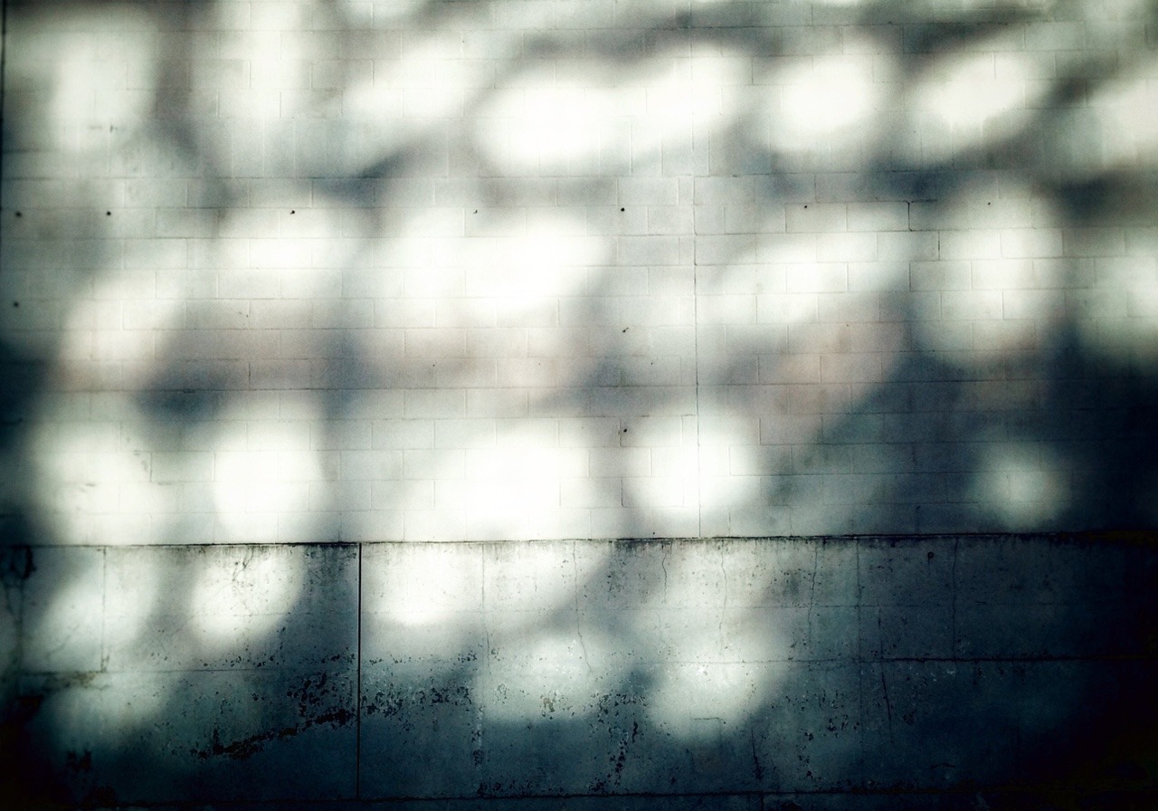 Archillect ID 90183