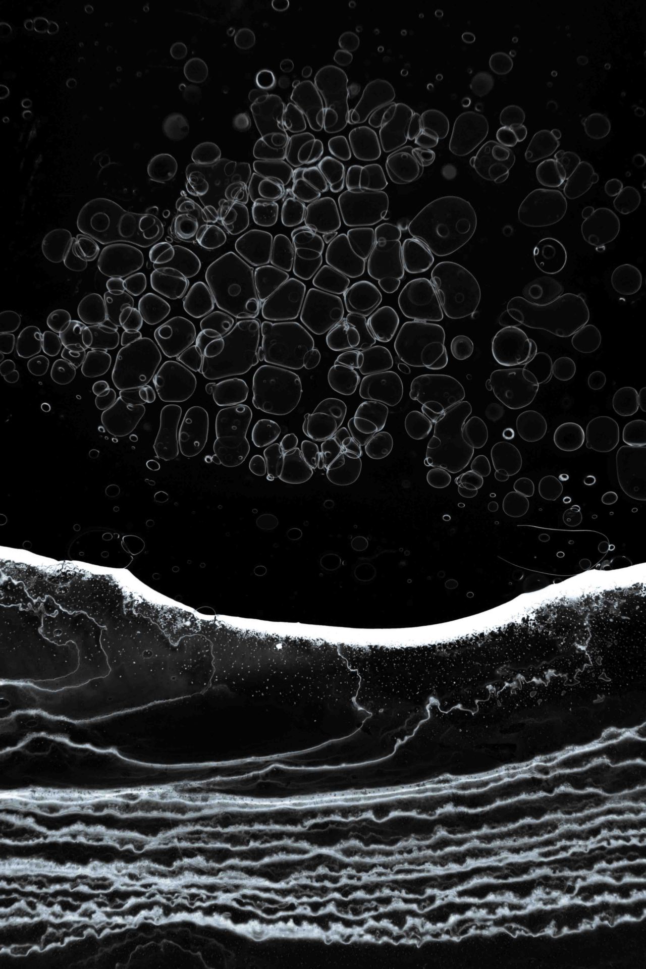 Archillect ID 90325