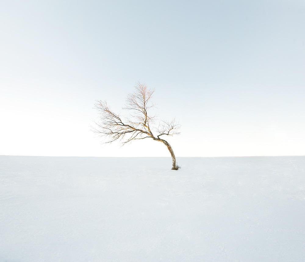 Archillect ID 90339
