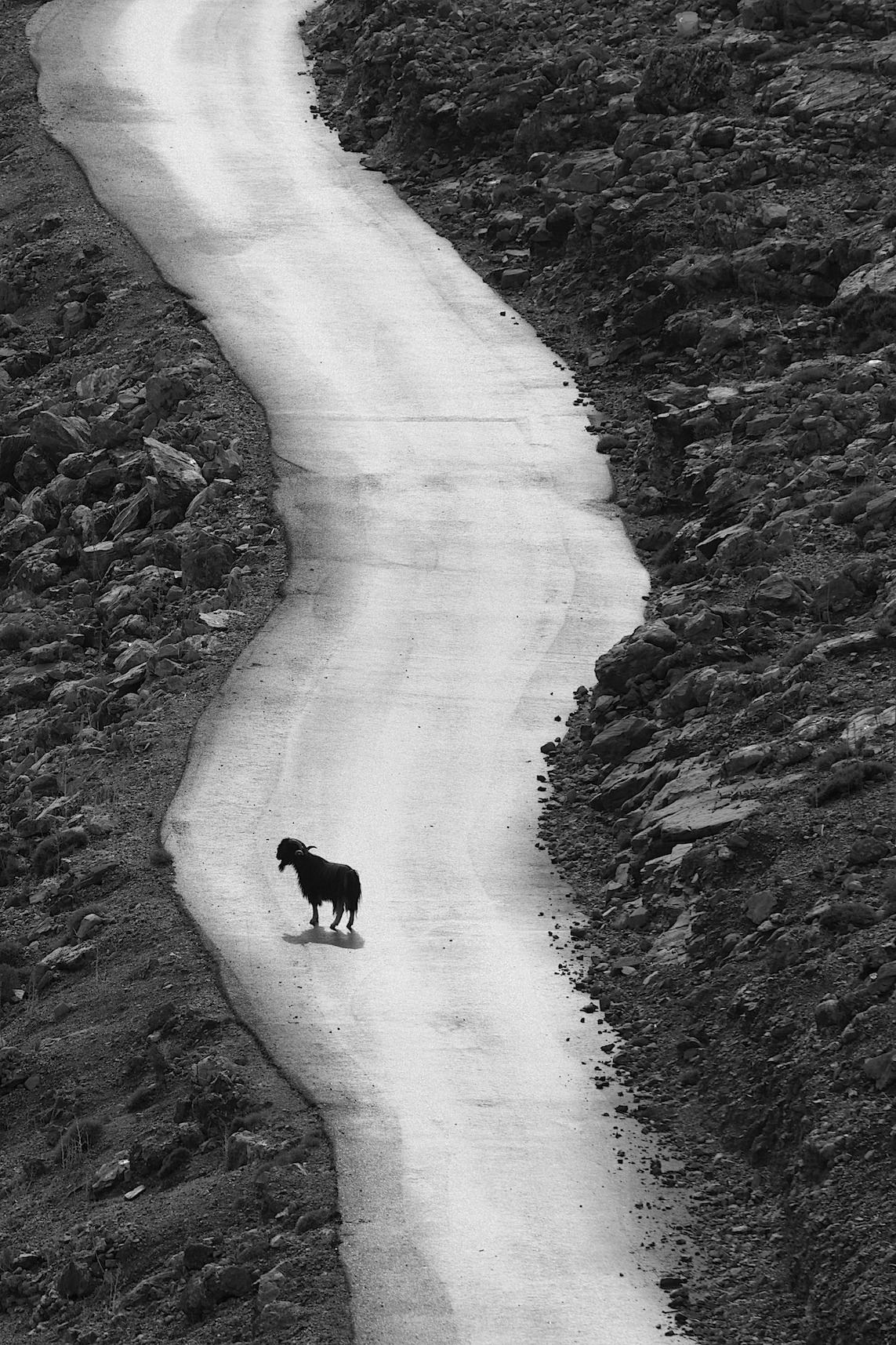 Archillect ID 90348