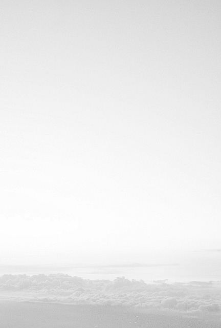 Archillect ID 90512