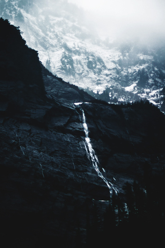 Archillect ID 90517