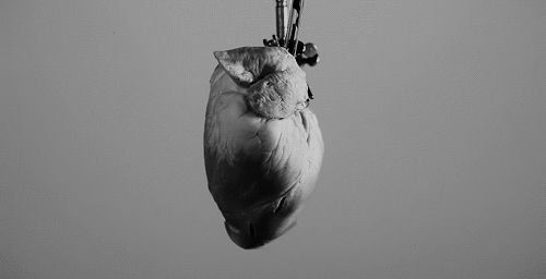 Archillect ID 90811