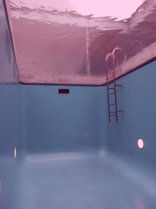 Archillect ID 90956