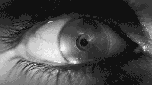 Archillect ID 90961
