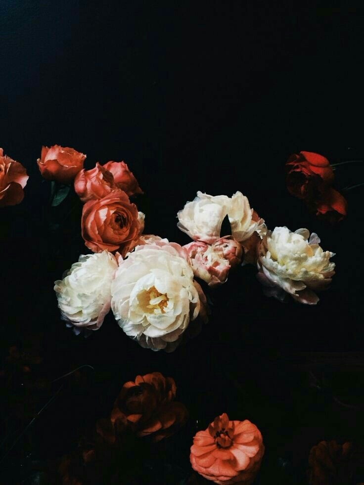 Archillect ID 91007