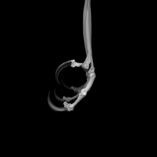 Archillect ID 91210