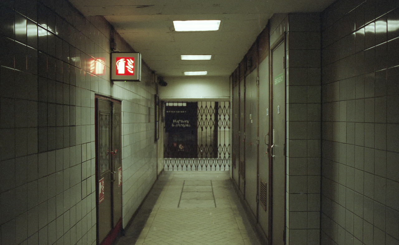 Archillect ID 91380