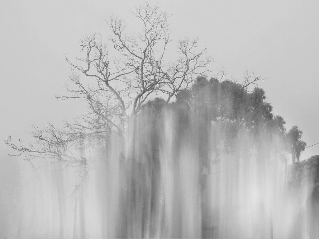 Archillect ID 91487
