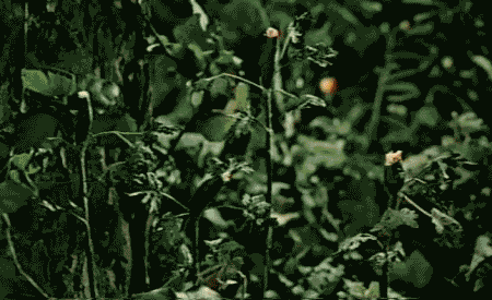 Archillect ID 91504