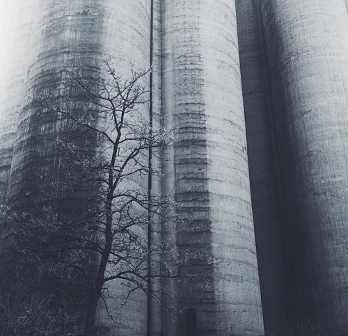 Archillect ID 91601