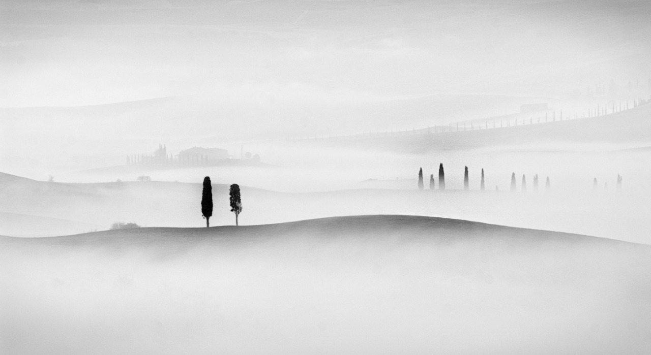 Archillect ID 91674