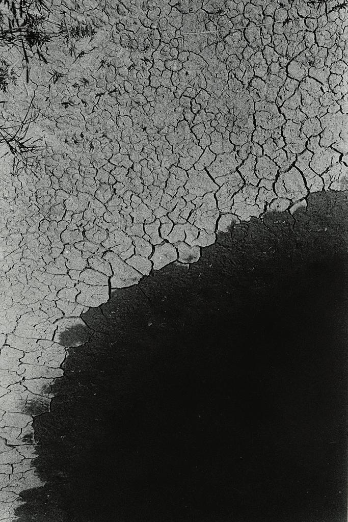 Archillect ID 91747