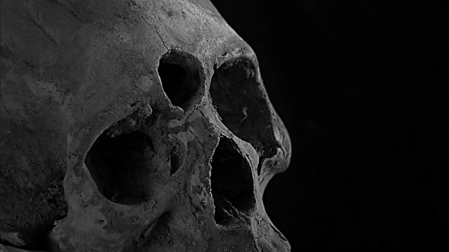 Archillect ID 91777