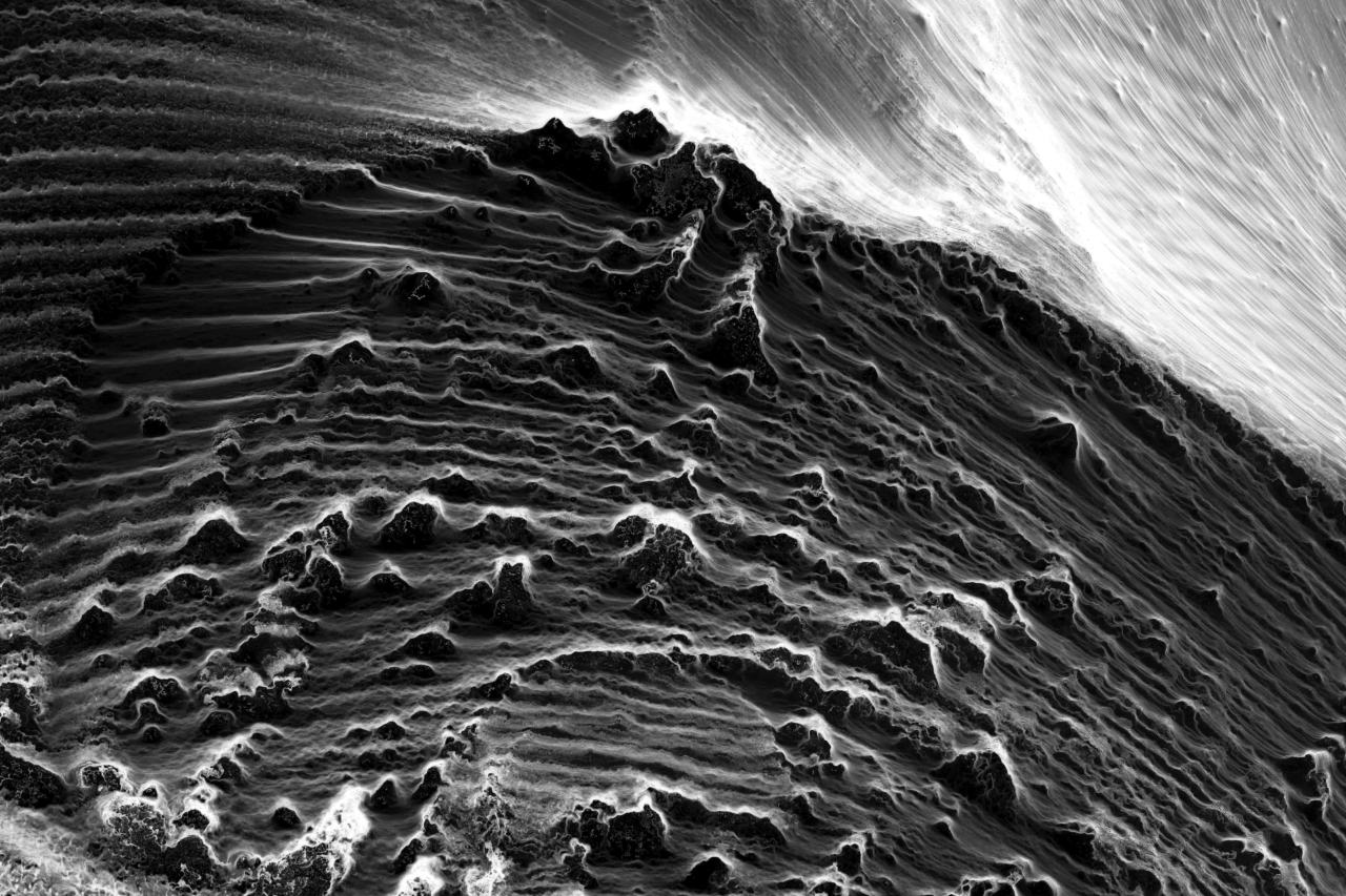 Archillect ID 91795