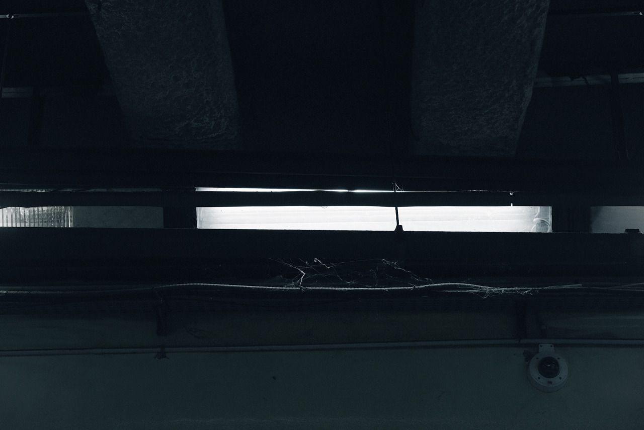 Archillect ID 92180