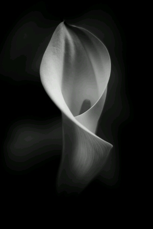 Archillect ID 92278