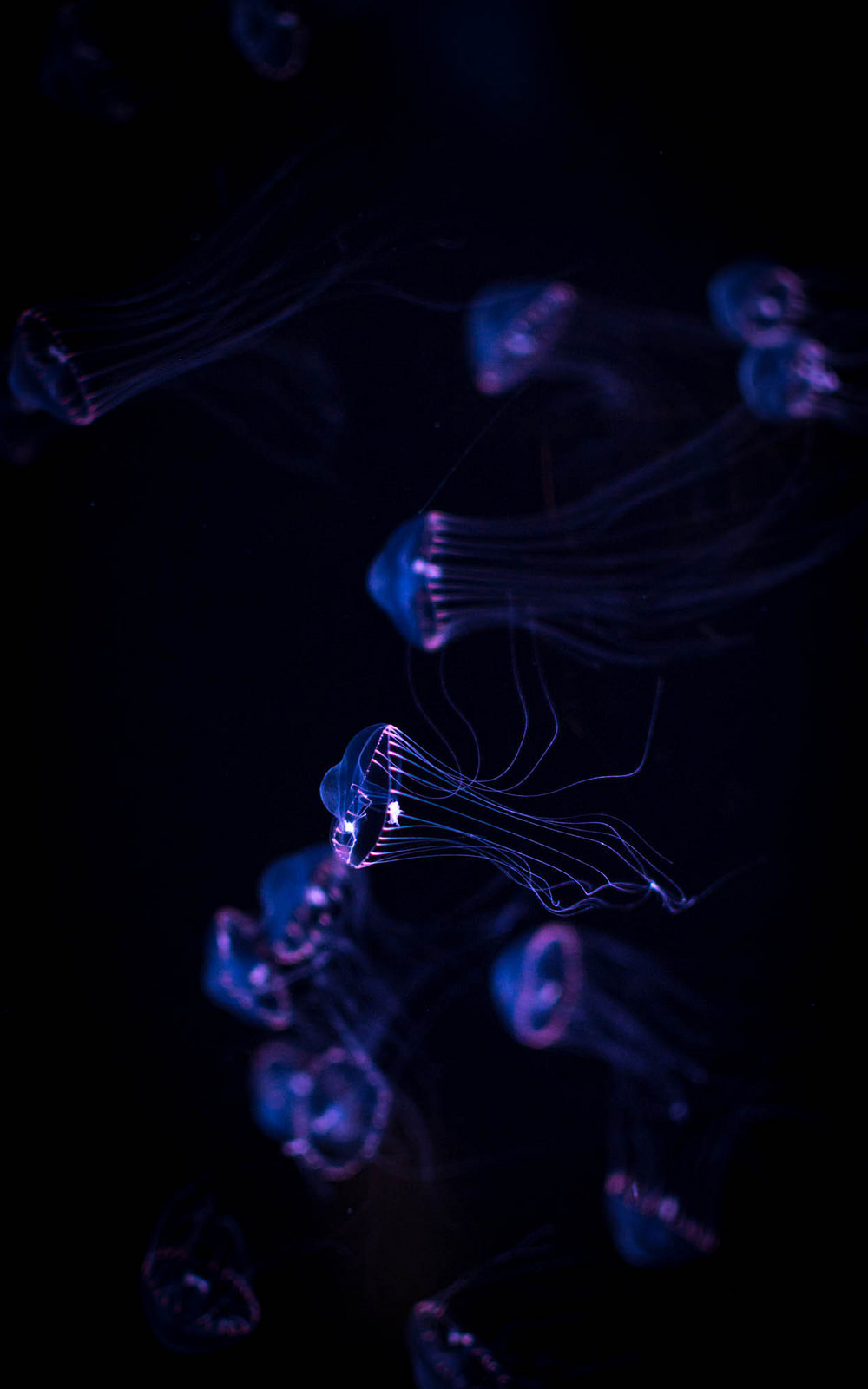 Archillect ID 92301