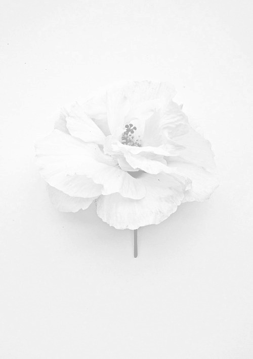 Archillect ID 92340