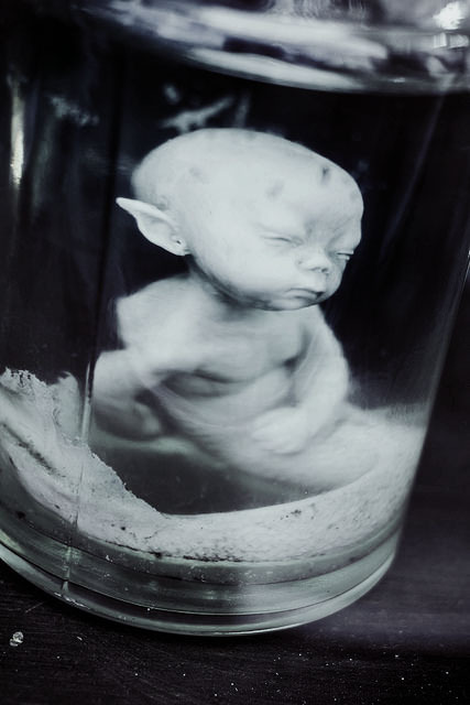 Archillect ID 92555