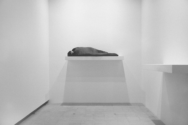 Archillect ID 92609