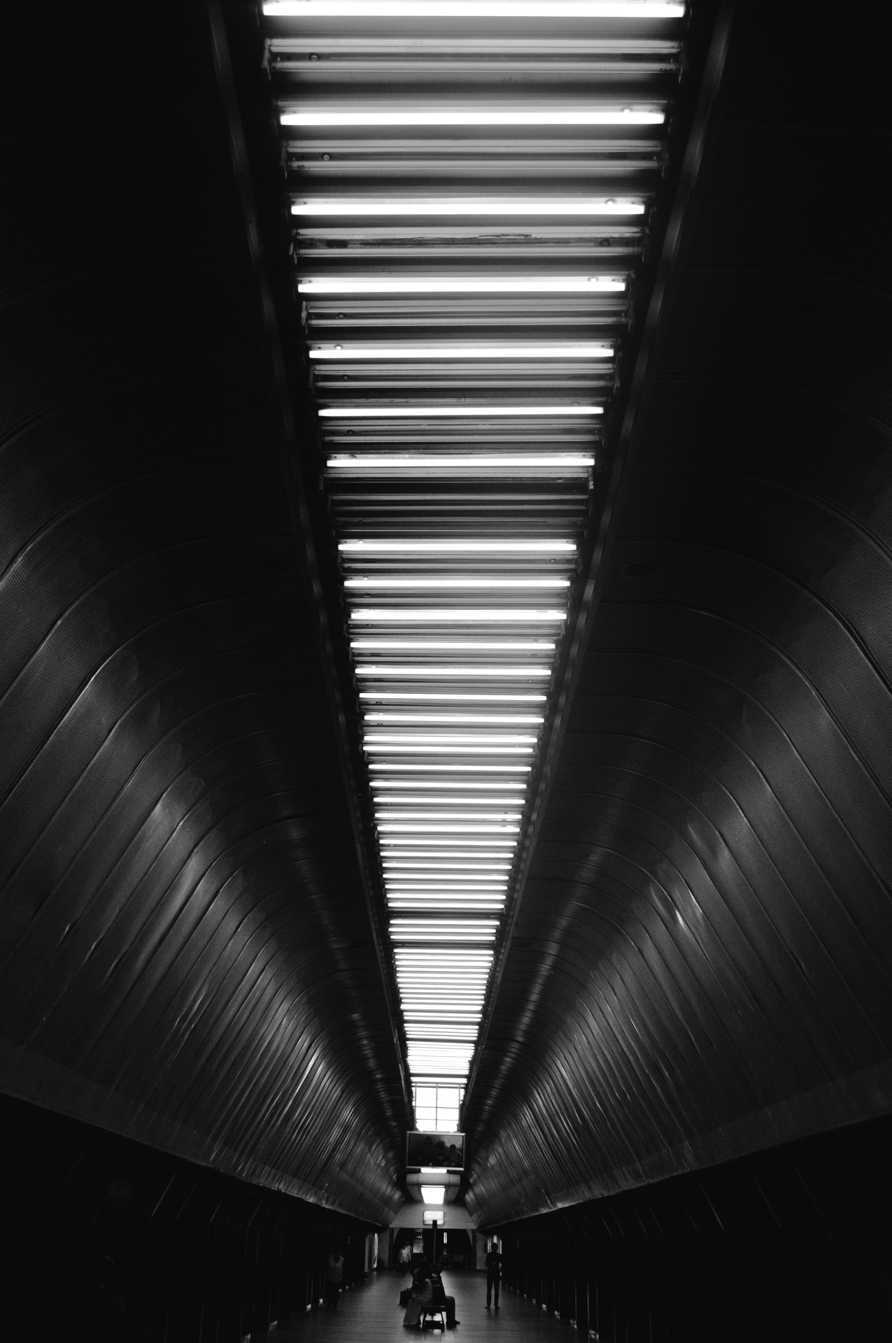 Archillect ID 92702